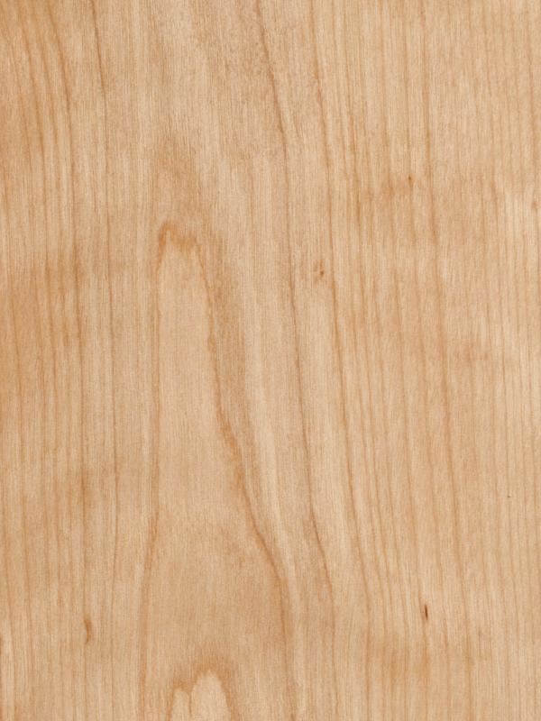 Scrollsaw Blanks - Birch - 12" W x 16" L