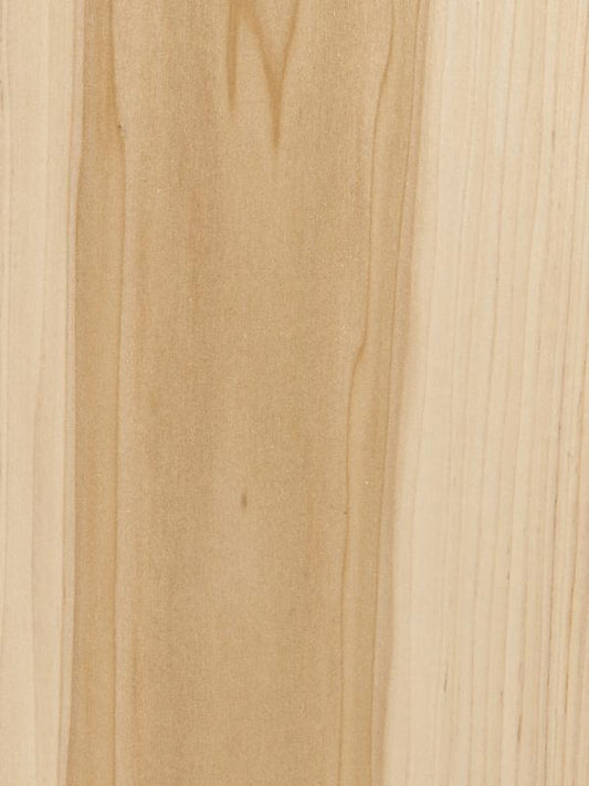 Scrollsaw Blanks - Poplar - 12" W x 16" L