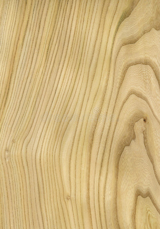 Scrollsaw Blanks - Elm -  12" W x 16" L