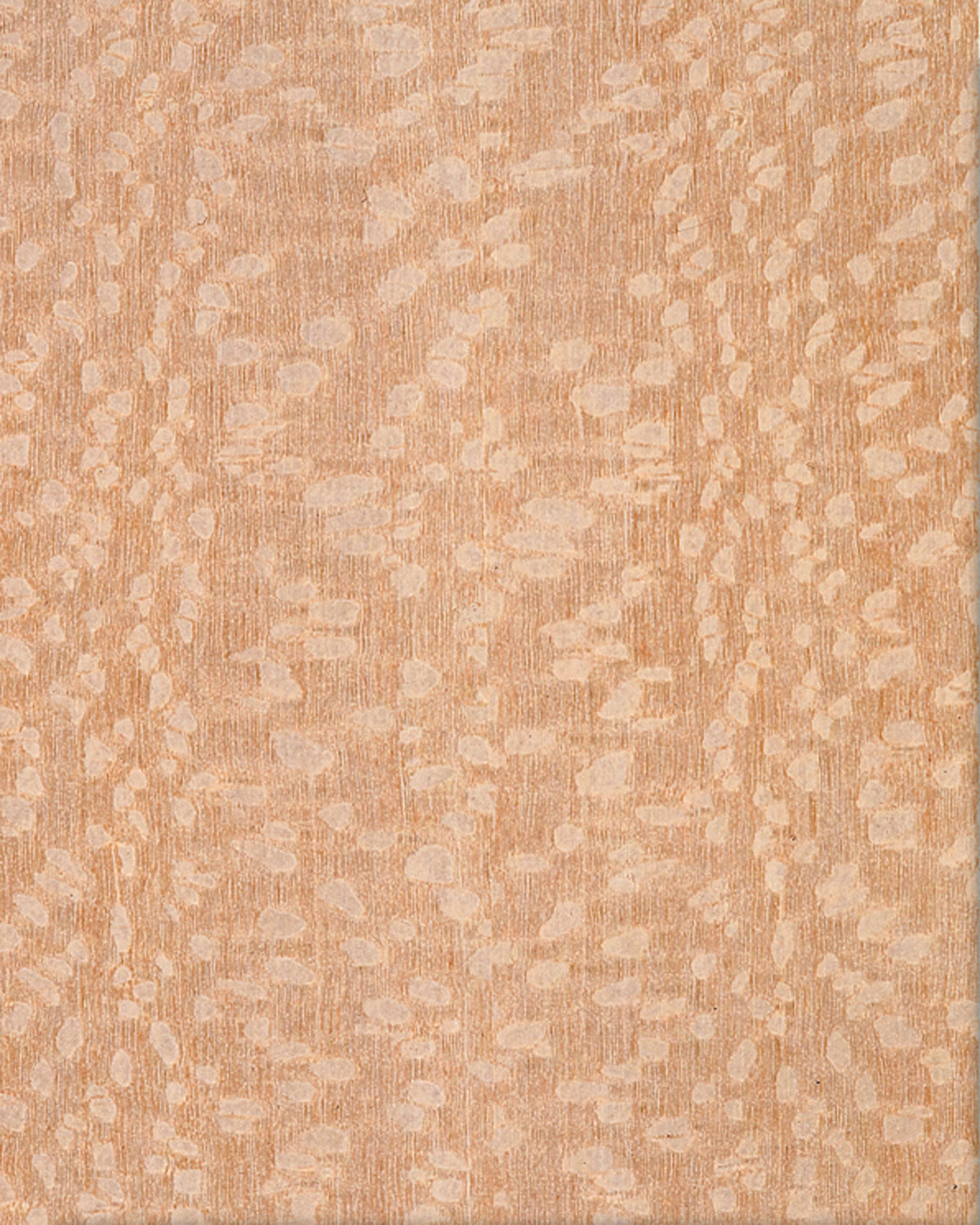 Scrollsaw Blanks - Lacewood -  12" W x 16" L
