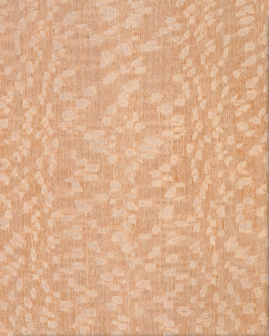 Scrollsaw Blanks - Lacewood -  12" W x 16" L