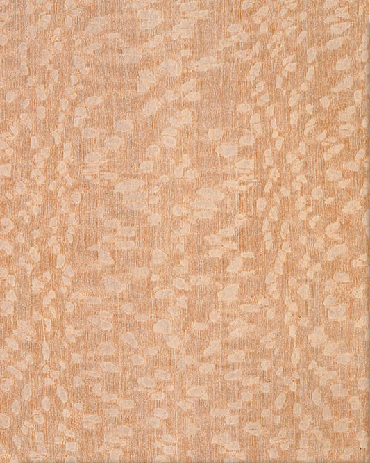 Scrollsaw Blanks - Lacewood -  12" W x 16" L